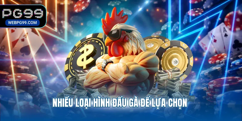 nhieu loai hinh dau ga de lua chon Nhiều loại hình đấu gà để lựa chọn